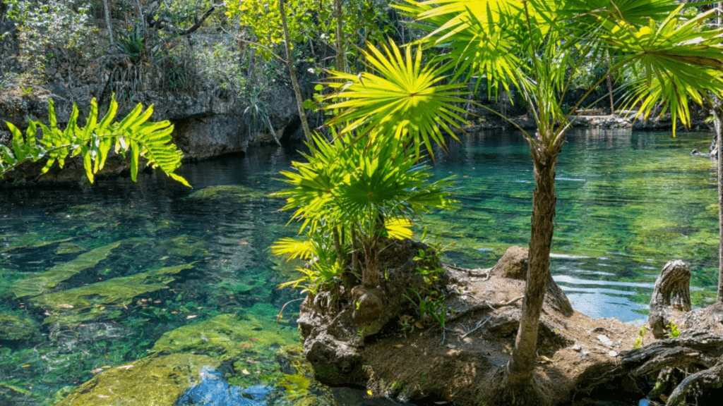 Cancun Cenotes